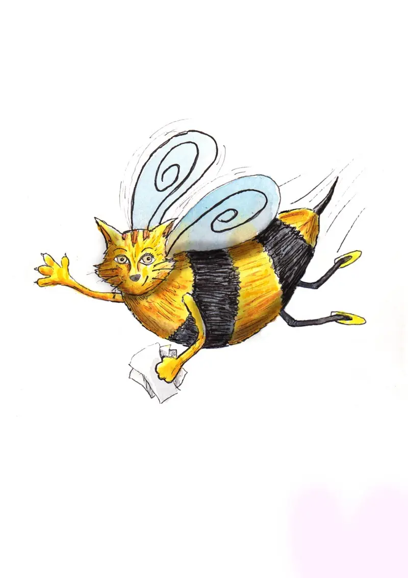 Hapbee Cat