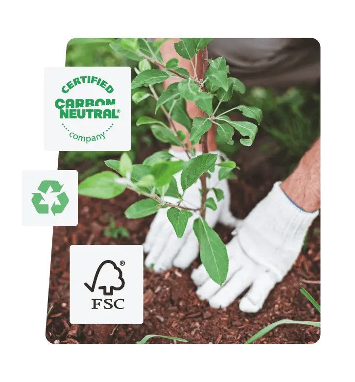 man planting tree